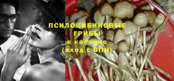 крисы Бронницы