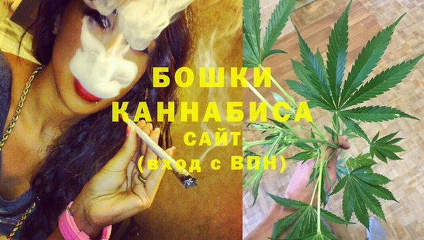 крисы Бронницы