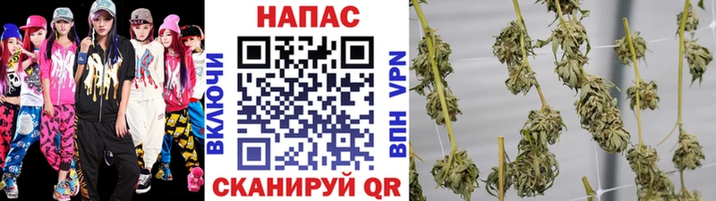 Бошки марихуана Ganja  KRAKEN маркетплейс  Кимовск 